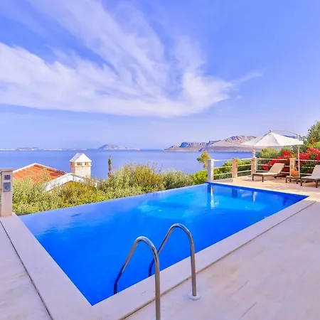 Leucosia * Kaş